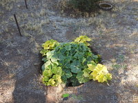 DSCN5731.JPG