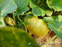 DSCN5733.JPG