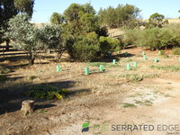 DSCN5739.JPG
