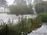 DSCN5540.JPG