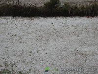 DSCN5552.JPG