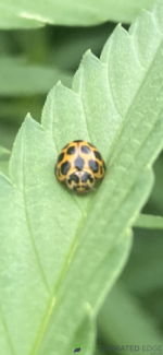 2FE512C8-F075-4E6D-826A-AAE61EBC078A.png