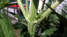 IMG_20220108_175623.jpg