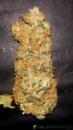20200915_172531.jpg