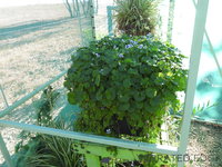 DSCN5680.JPG