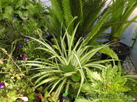 DSCN5690.JPG