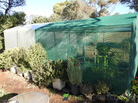 DSCN5694.JPG