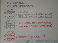 20220218_160541.jpg