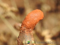 DSCN5945.JPG