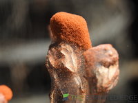 DSCN5947.JPG