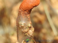 DSCN5948.JPG