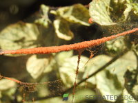 DSCN5949.JPG