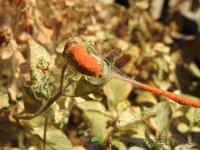 DSCN5953.JPG