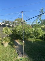 0F10DB84-CBB4-4F1E-A704-DC408091DE68.jpeg