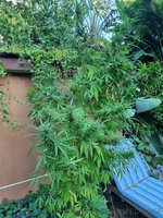 20220321_180309.jpg
