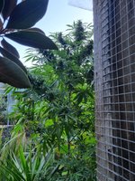 20220321_180212.jpg