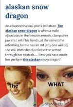 alaskan snow dragon.jpg