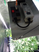VB1500-EF[SML].png