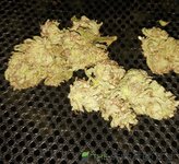 20220406_152734.jpg