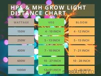 HPS-MH-LIGHT-DISTANCE.jpg