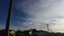 20220602_154446.jpg