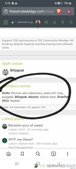 Screenshot_20220617-185631_Brave.jpg