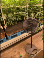 evapotranspiration 4.PNG