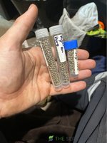 45B99993-CB4F-492F-B055-78AB2FEB8F46.jpeg
