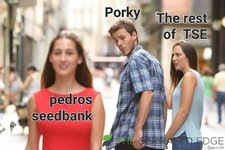 images.jpeg