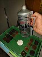 IMG_20220711_005708071.jpg