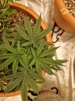 20220715_205305.jpg