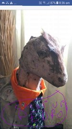 20220810_084317.jpg