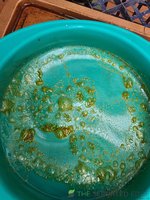 20220916_135626.jpg