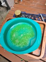 20220916_135203.jpg