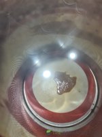 20220916_200039.jpg