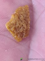 20220917_113438.jpg