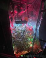 5E557655-7619-40BD-9FF6-33171F75D434.jpeg