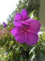 60DF66D9-3A20-4AF3-8F85-CE4C069104B8.jpeg
