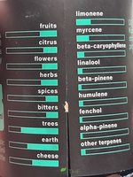 20221031_173313.jpg