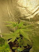 20221219_061344.jpg