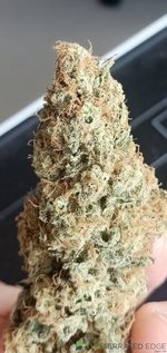 IMG_20221228_093117.jpg