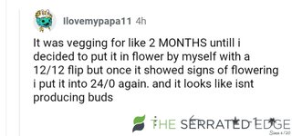 Wtf.jpg