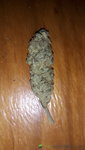 20200610_203219.jpg