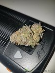 its weed!.jpg