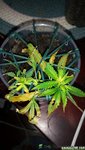 20170410_214147.jpg