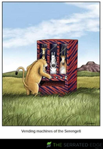 Screenshot_20221204_042533_Facebook.png