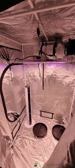 20230202_160745.jpg
