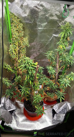 Honeyview_80y5ab4j6jha1.jpg