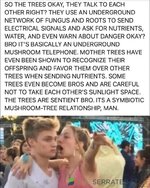 63209F64-39B3-47FA-AE9F-195CB678DDB5.jpeg