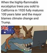 4747116C-06AC-47E7-934C-6FC221DED627.jpeg